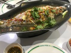 -T&K 海鲜