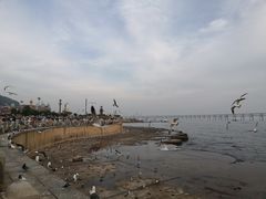 -星海广场