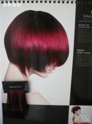 DSCN1029_副本-丽时 Hair Salon