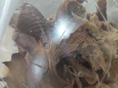 -豫掌柜饸饹面·烩面(秀沿路店)