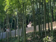 -莫干山风景区