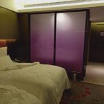 -南京禄口机场雅高铂尔曼大酒店