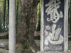 -兰亭风景区