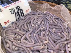 -顺德了能馆(虎门店)