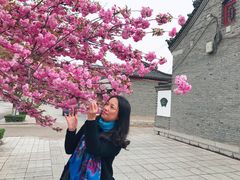 -杨家埠民间艺术大观园
