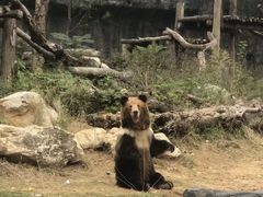 -武汉动物园
