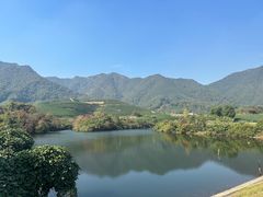 -龙坞茶村