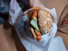 -汉堡王(长沙枫林三路店)