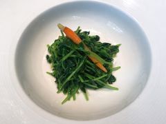 豌豆苗-子福慧(虹桥店)