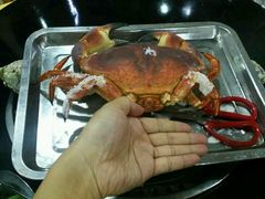 android_upload_pic-蚝专家(北滘店)