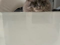 -派特宠物医院(圆融广场店)