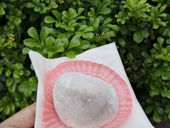 -澳门长洲糯米糍(柯打苏沙街店)