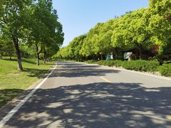 -南京市江宁方山
