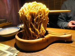 会飞的凉面-锦上中式酒馆(南内环店)