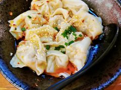 红油抄手-归蜀第成都串串料理(梅花路店)