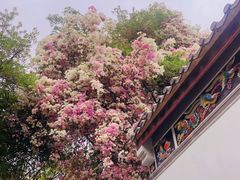 -深圳国际园林花卉博览园