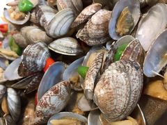 铜盘花蛤-新白鹿餐厅(城西银泰城店)