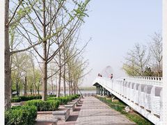 -大兴滨河森林公园