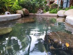 -稷泽·海丽宾雅温泉度假酒店