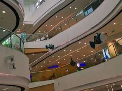 -上海颛桥万达广场