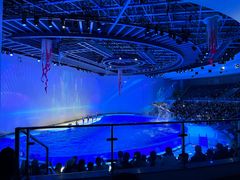 -上海海昌海洋公园