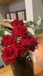 -芳香乐府疗愈空间·SPA·冥想