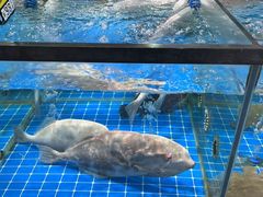 -绿雅居原生态农庄(小涌店)