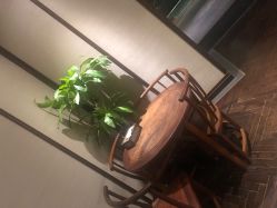 -禾颜社·精致美容