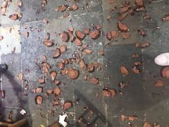 -巴人堂(女儿城店)