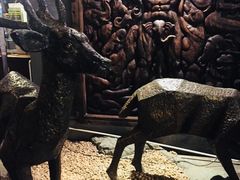 -清迈夜间动物园