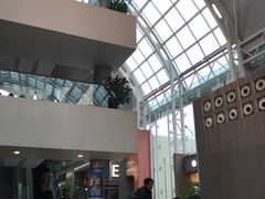 -上海市第一人民医院(松江南部)