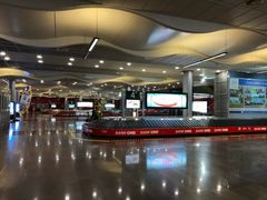 -西沃古尔·拉姆古兰爵士国际机场