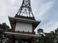 -金鸡山公园