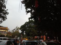 -潮喜竹溪荔湖酒家(荔枝湾店)