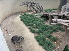 -达蓬山星梦乐园
