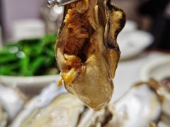 -蚝歌(中山七路店)