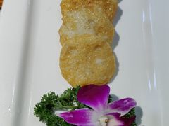 -百年银屏蚝烙·潮汕菜·非遗(乐山店)
