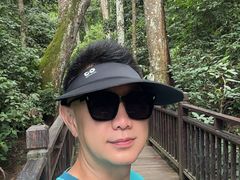 -西双版纳原始森林公园
