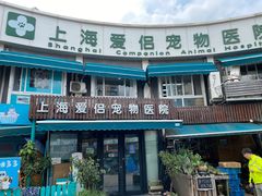 -爱侣宠医·鹦鹉专科·小型哺乳类·异宠专科(灵石路店)