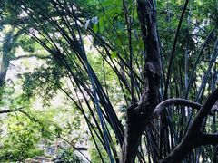 -香港大学