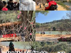 -南国桃园旅游度假区