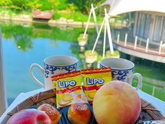 -帐篷客·溪龙茶谷度假酒店