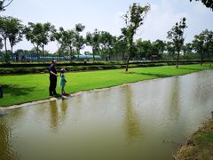 -上海长兴岛郊野公园