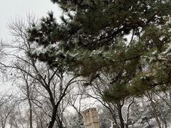 -元大都城垣遗址公园
