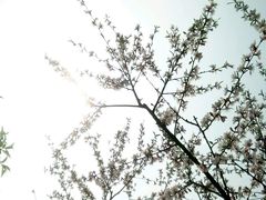 楼前-公益图书馆(江南大学店)