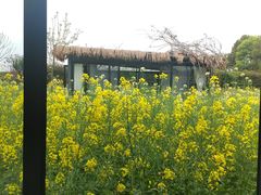 -洪湖家庭农场·团建·露营·会议