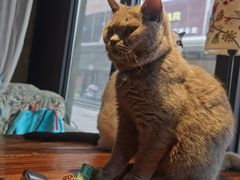 -么么咖啡(燕郊店)