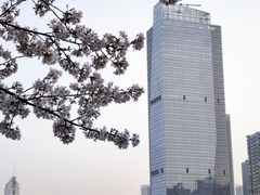 -西北湖绿化广场