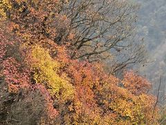 -秦岭终南山世界地质公园翠华山景区