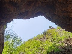 -大连天门山国家森林公园